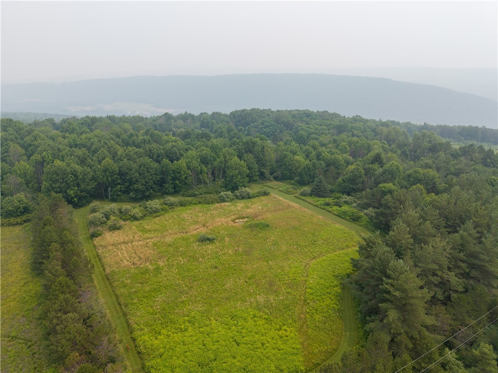 2571 Delude Road Dalton, NY 14836 - Photo 36 of 48