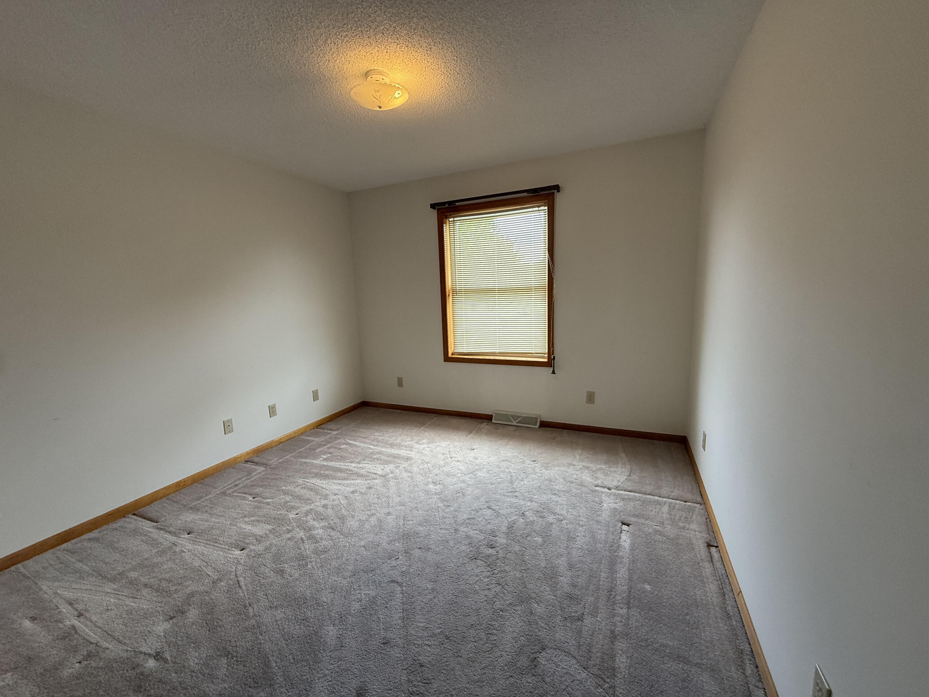 17474 15 Mile Road Big Rapids, MI 49307 - Photo 6 of 10 unnamed (6)