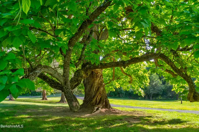 a view of a house with a big yard