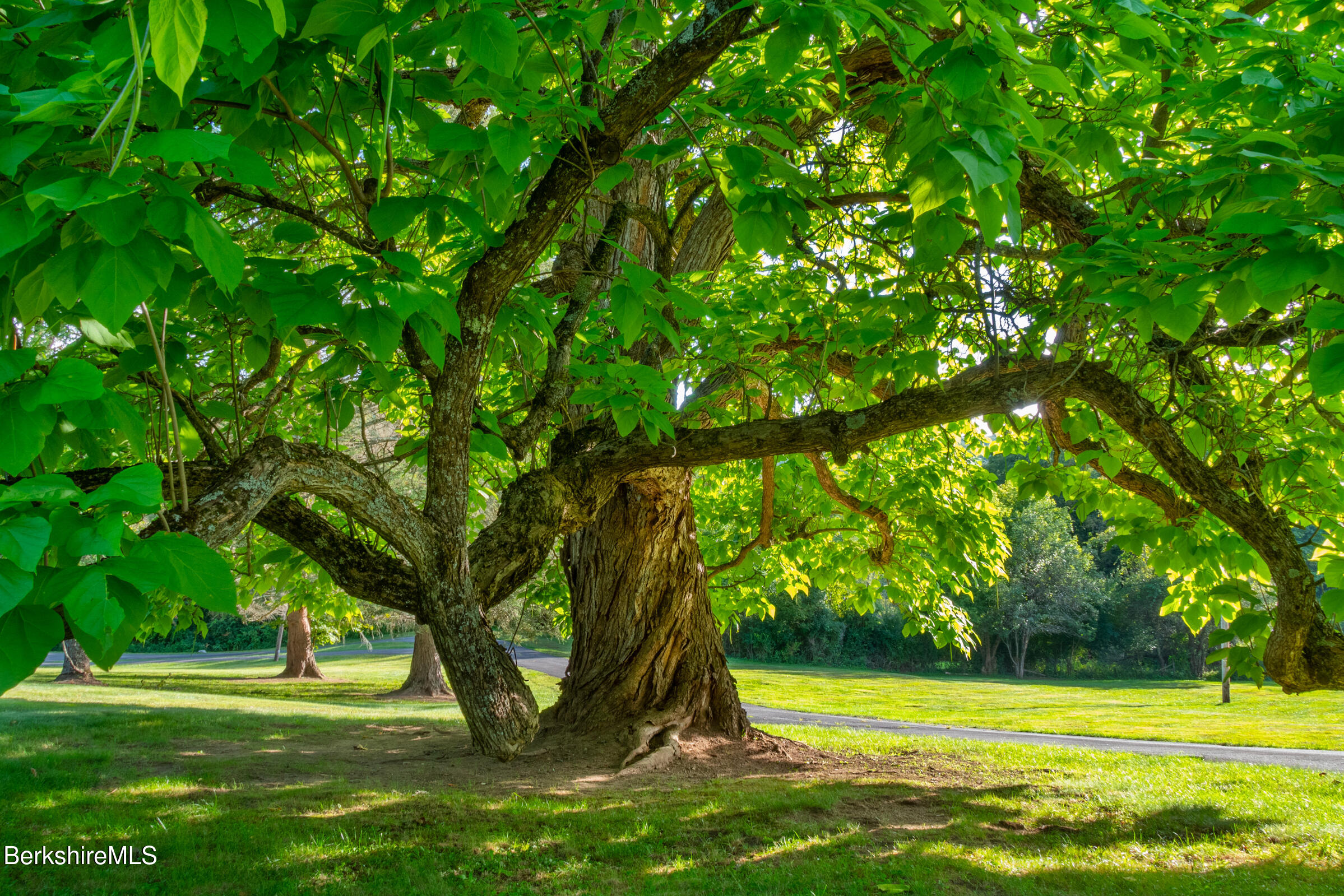 8 Webster Road Tyringham, MA 01264 - Photo 42 of 52 a view of a volley ball court