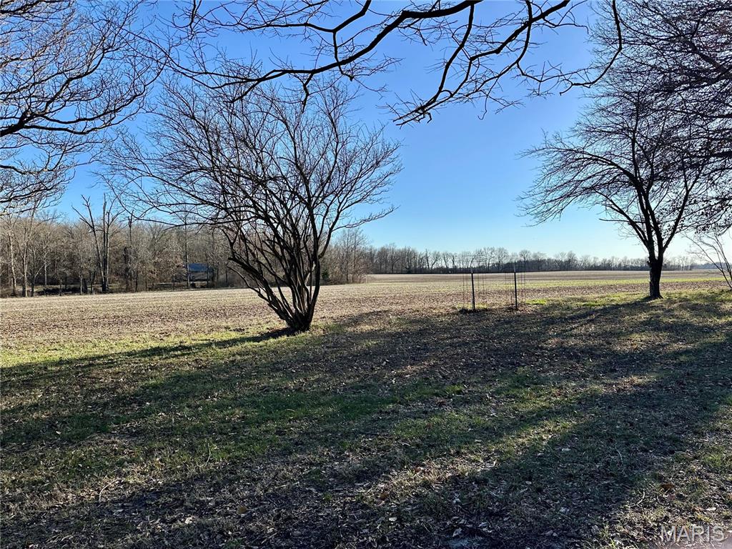 20754 Emerald Road Carlyle, IL 62231 - Photo 11 of 31
