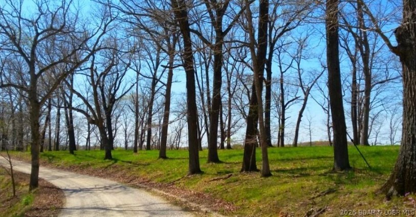 7 Timber Ridge Barnett, MO 65011 - Photo 9 of 10