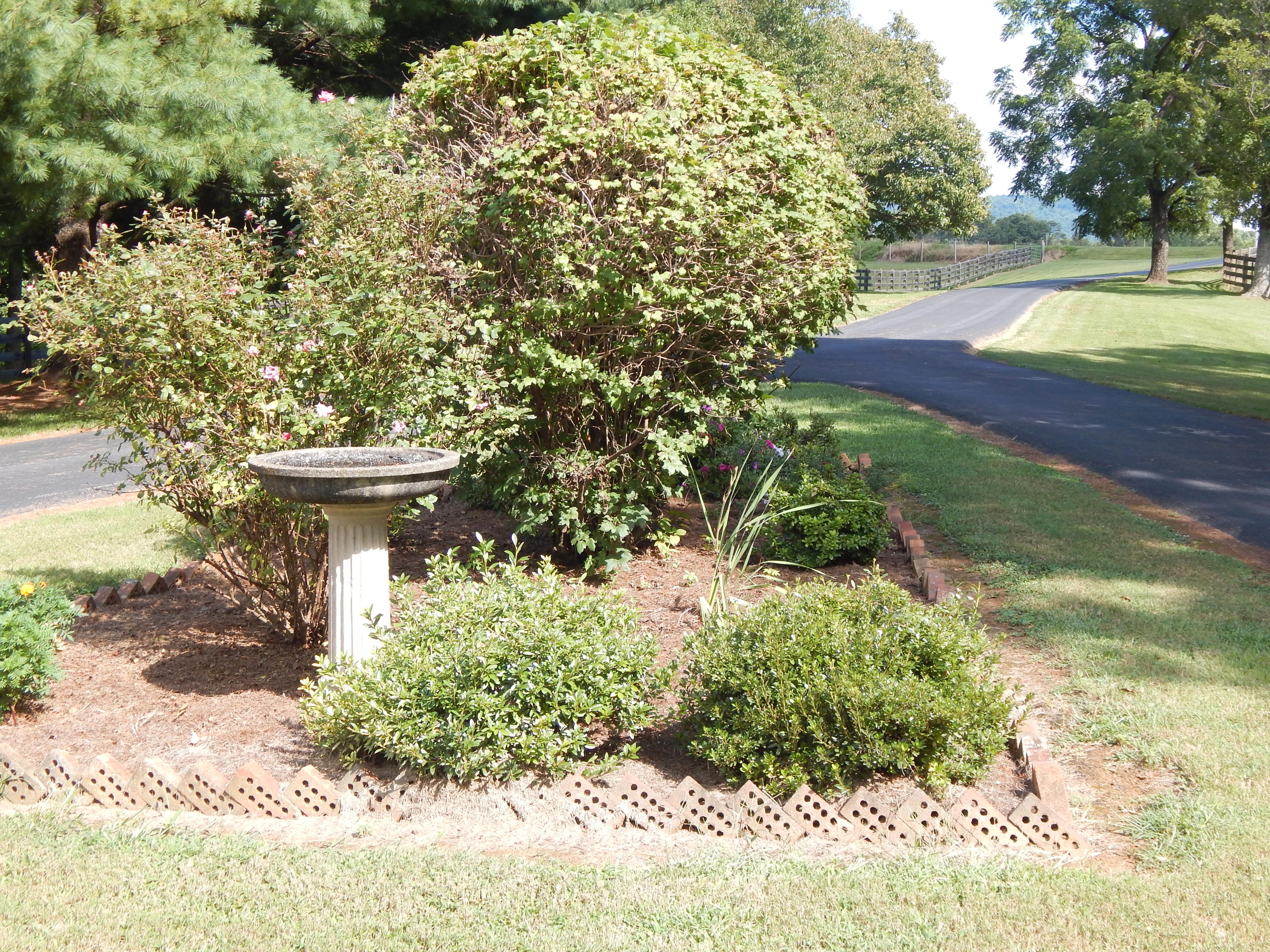 2805 Spradlin Road Vinton, VA 24179 - Photo 18 of 19 a view of yard with tree in it