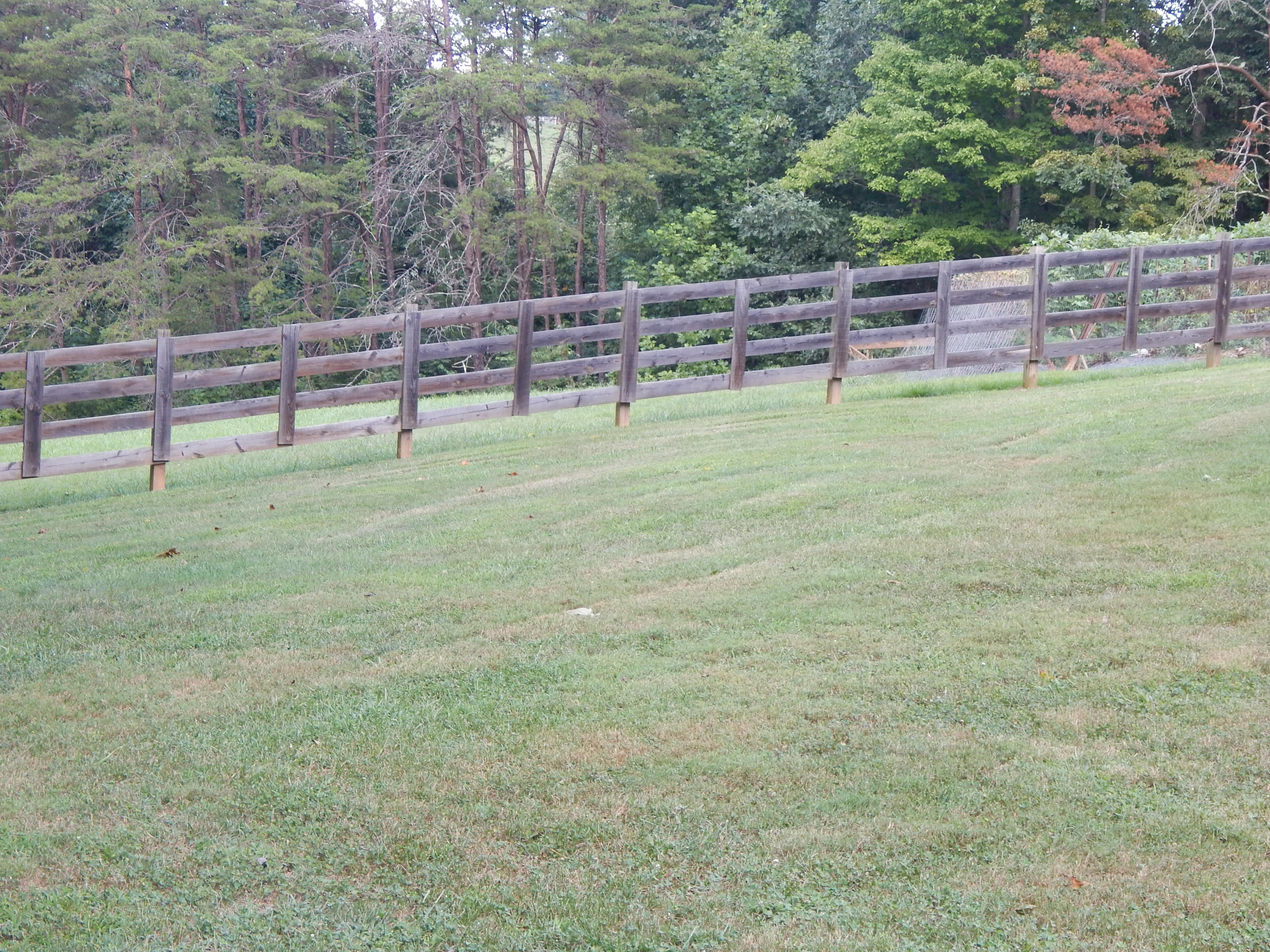 2805 Spradlin Road Vinton, VA 24179 - Photo 5 of 19 a view of outdoor space and yard