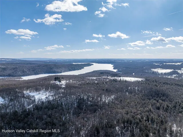 $1,799,000 | 376 Aden Hill Road, Unit NEAR NEVERSINK RESERVOIR, Neversink, NY 12768