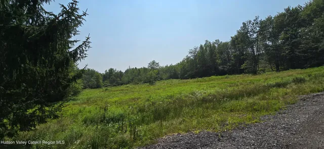 $1,799,000 | 376 Aden Hill Road, Unit NEAR NEVERSINK RESERVOIR, Neversink, NY 12768