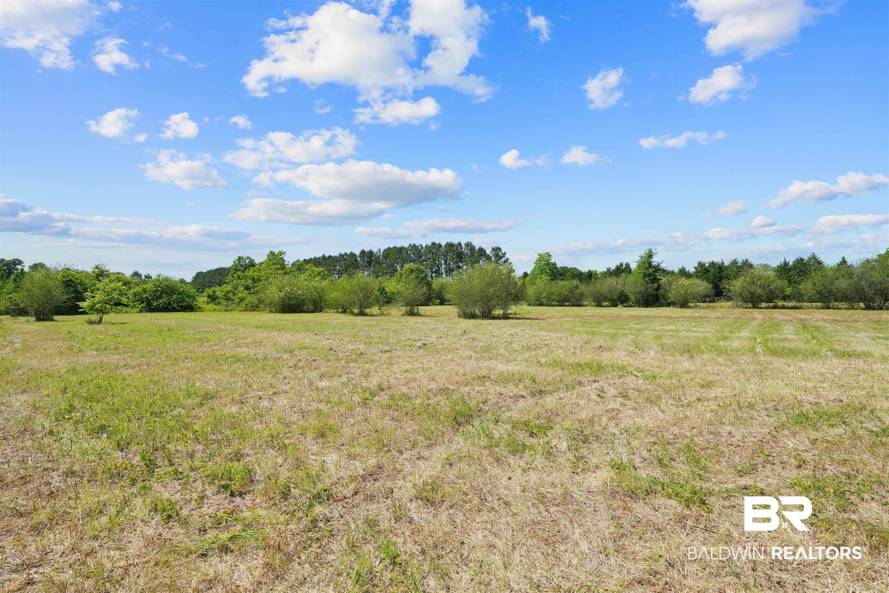 13733 White Road Silverhill, AL 36576 - Photo 7 of 26