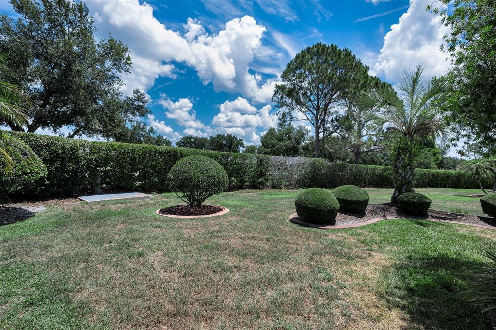 11917 Hadleigh Way Trinity, FL 34655 - Photo 49 of 84