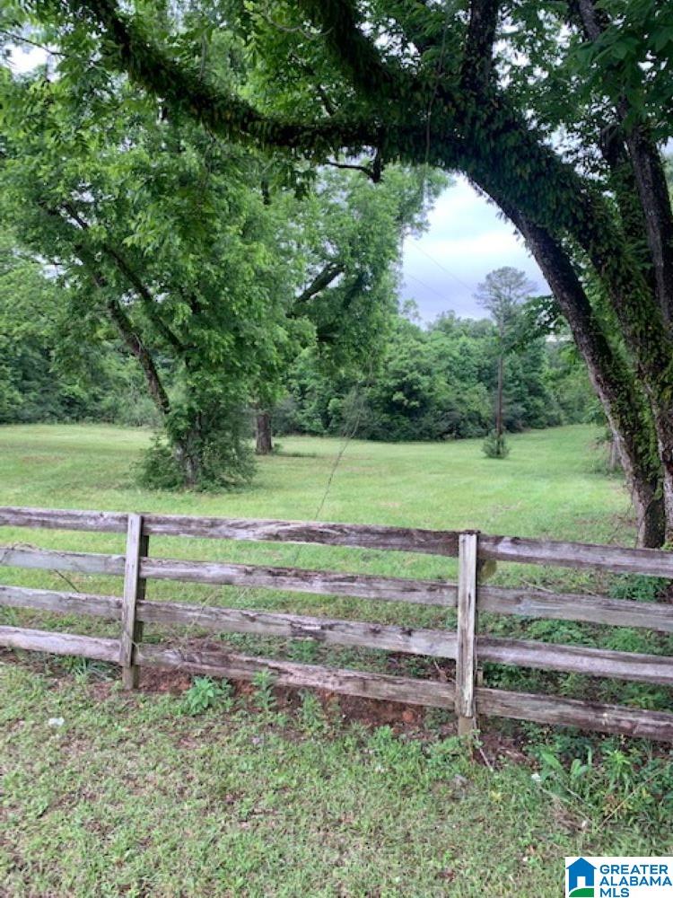 14017 County Road 68 Andalusia, AL 36421 - Photo 3 of 5