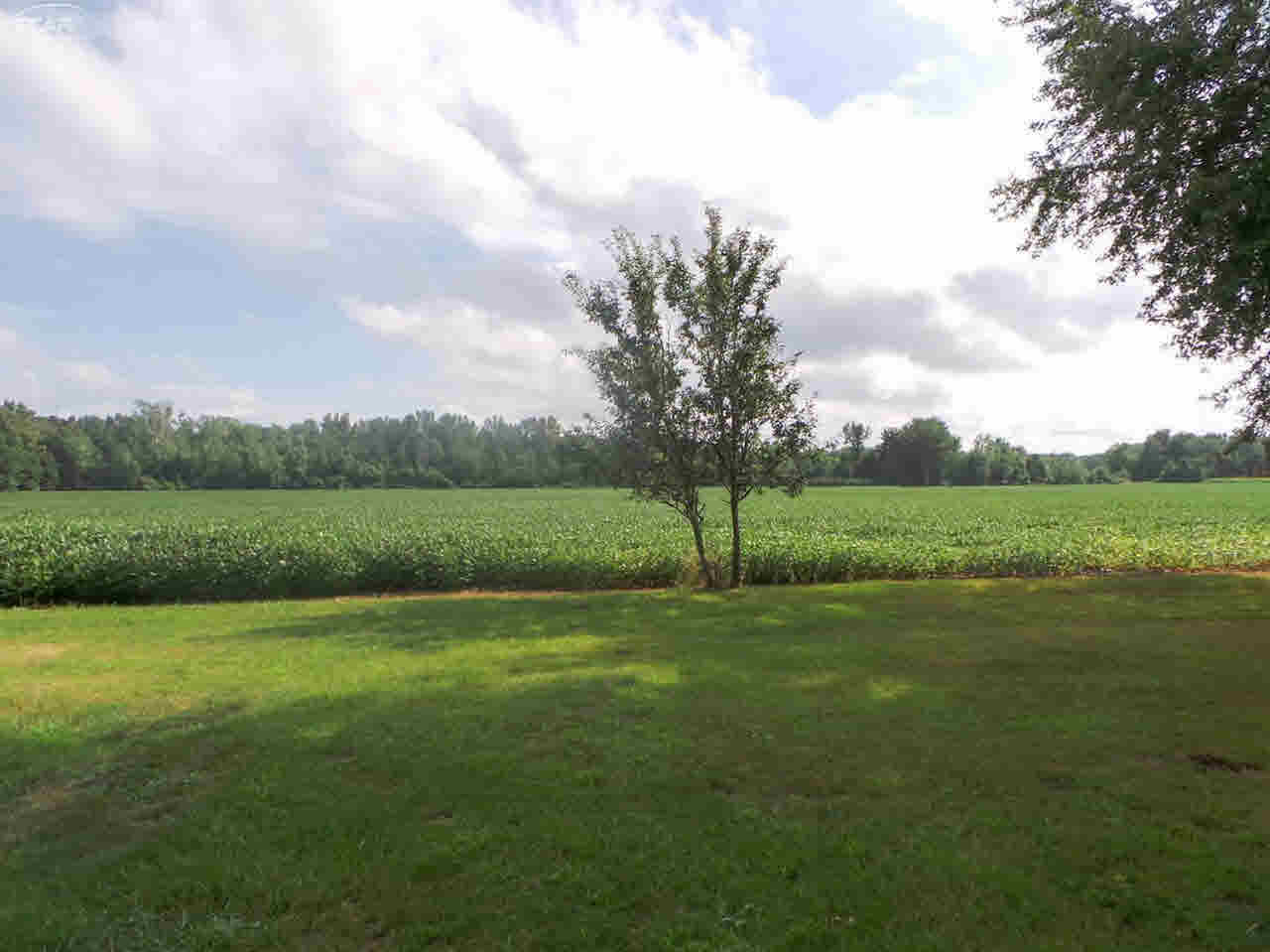 3585 West Burt Road Burt, MI 48417 - Photo 10 of 19 21358287-9.JPG