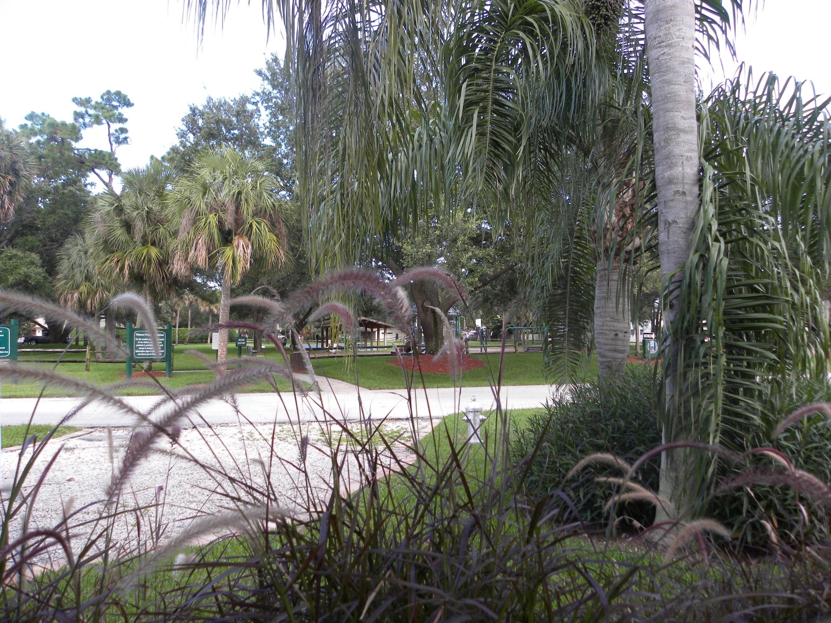 1131 Southwest 20th Street Boca Raton, FL 33486 - Photo 4 of 42 Park View from Front Porch