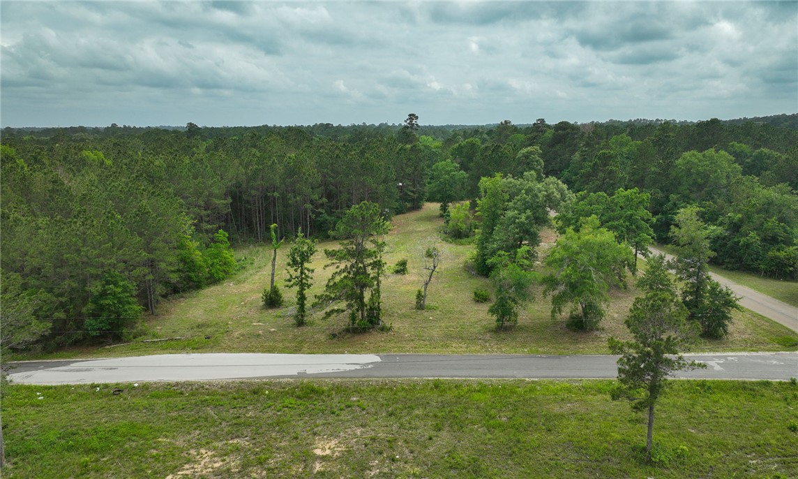5914 Carter Road Waller, TX 77484 - Photo 38 of 41