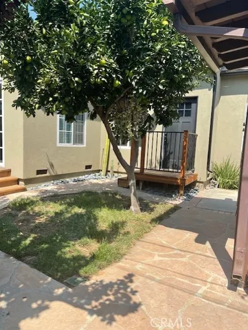 a view of backyard with large tree