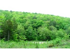 0 Herring Brook Road Moretown, VT 05660 - Photo 2 of 6