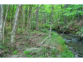 0 Herring Brook Road Moretown, VT 05660 - Photo 4 of 6