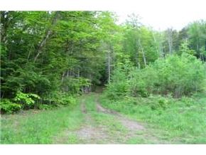 0 Herring Brook Road Moretown, VT 05660 - Photo 5 of 6