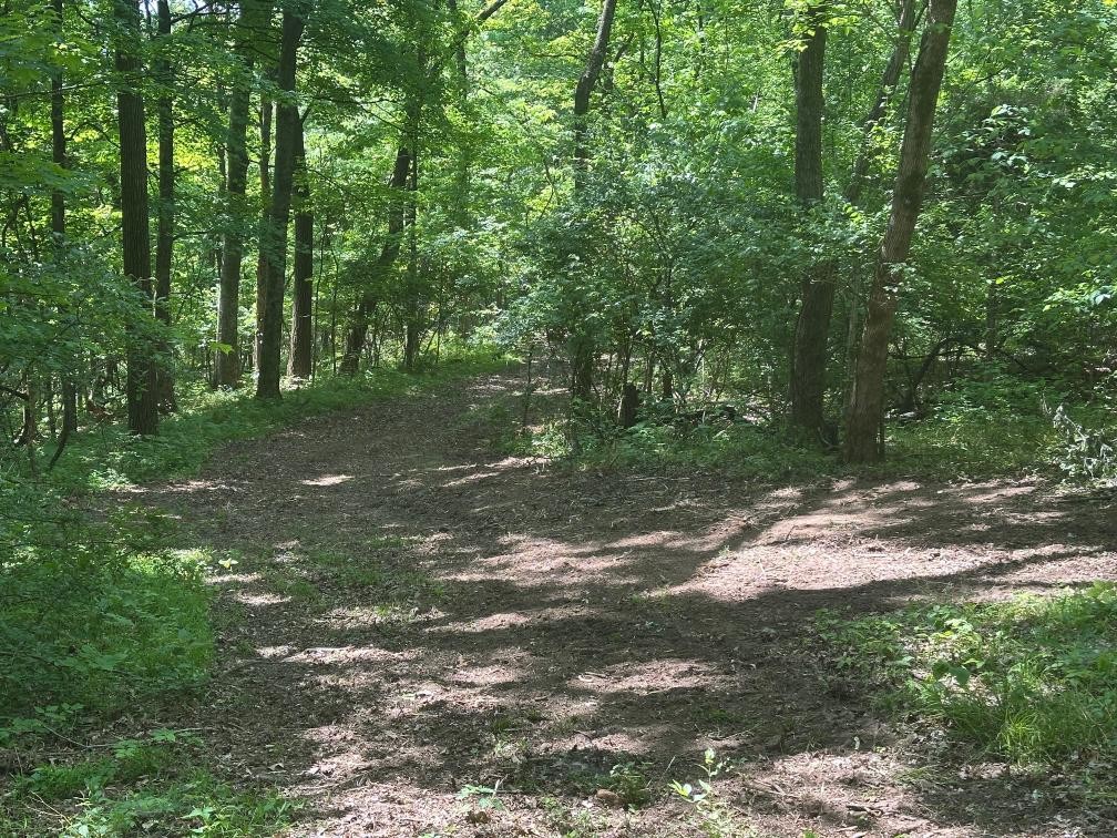 10515 Paw Paw Springs Road Arrington, TN 37014 - Photo 6 of 13 a backyard of a house with lots of green space