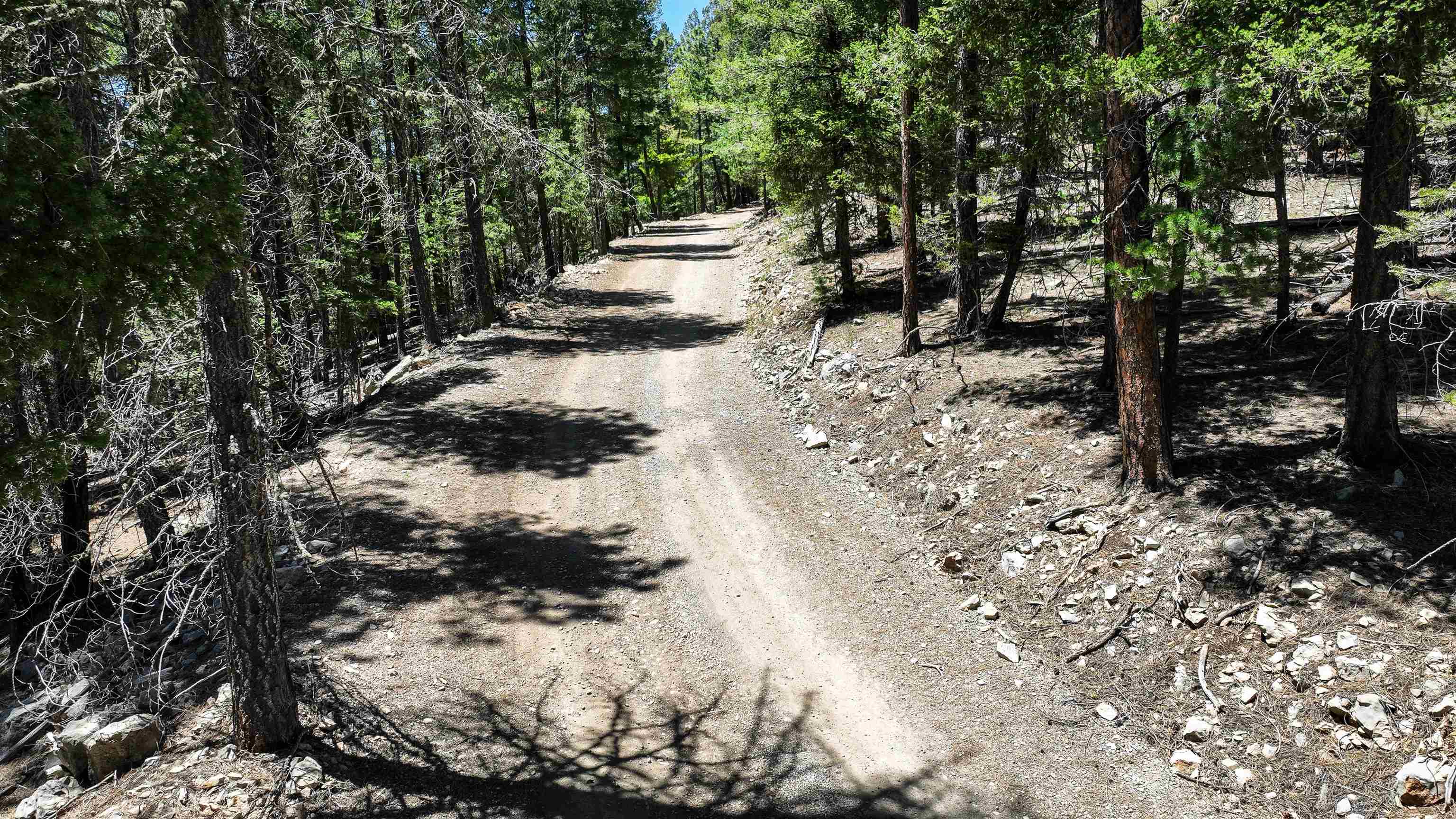 Raspberry Hill Road Cloudcroft, NM 88317 - Photo 14 of 14 Gallery Image 14