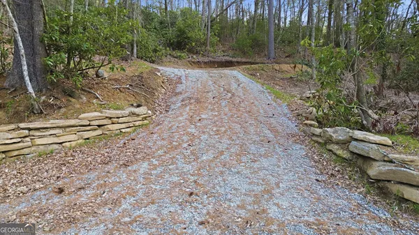 a view of a dry yard with trees