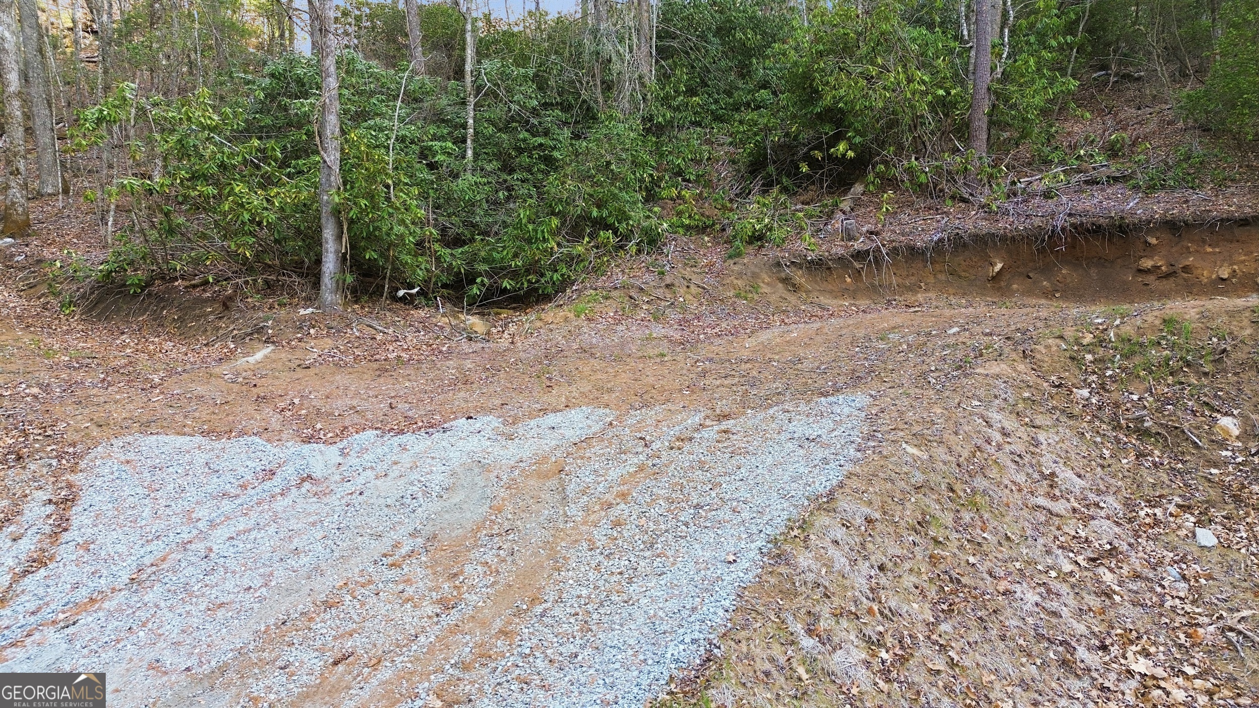 0 Franklin Road Highlands, NC 28741 - Photo 4 of 9