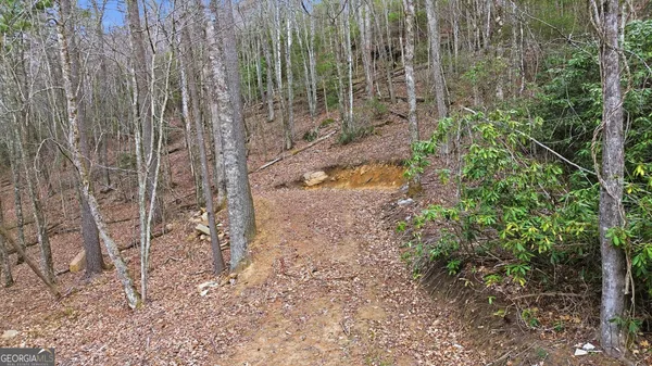 a view of a backyard of the house