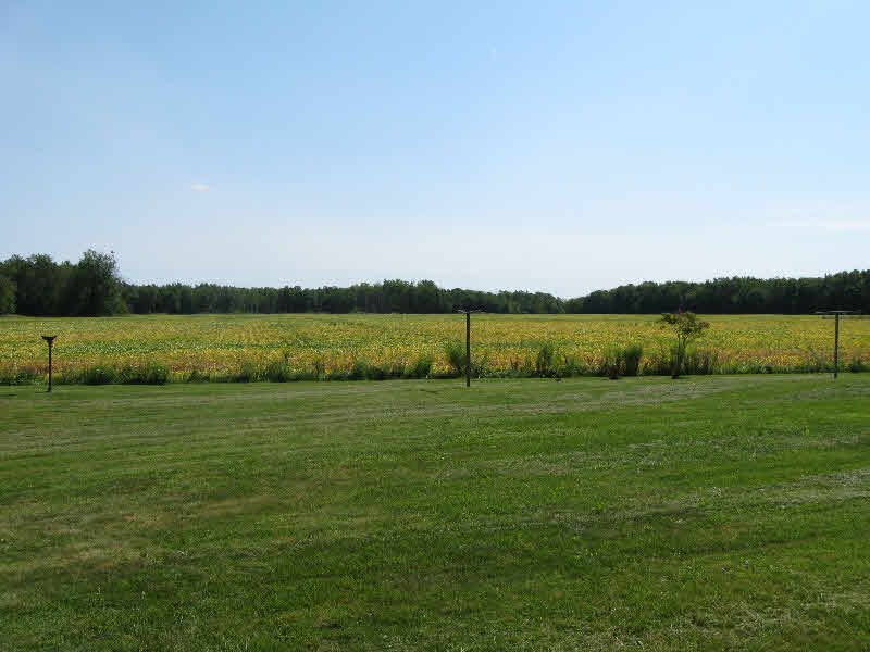 4162 North 11 Mile Road Pinconning, MI 48650 - Photo 4 of 11