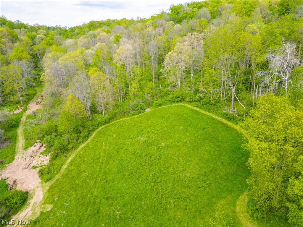 69800 Skull Fork Road Freeport, OH 43973 - Photo 19 of 50