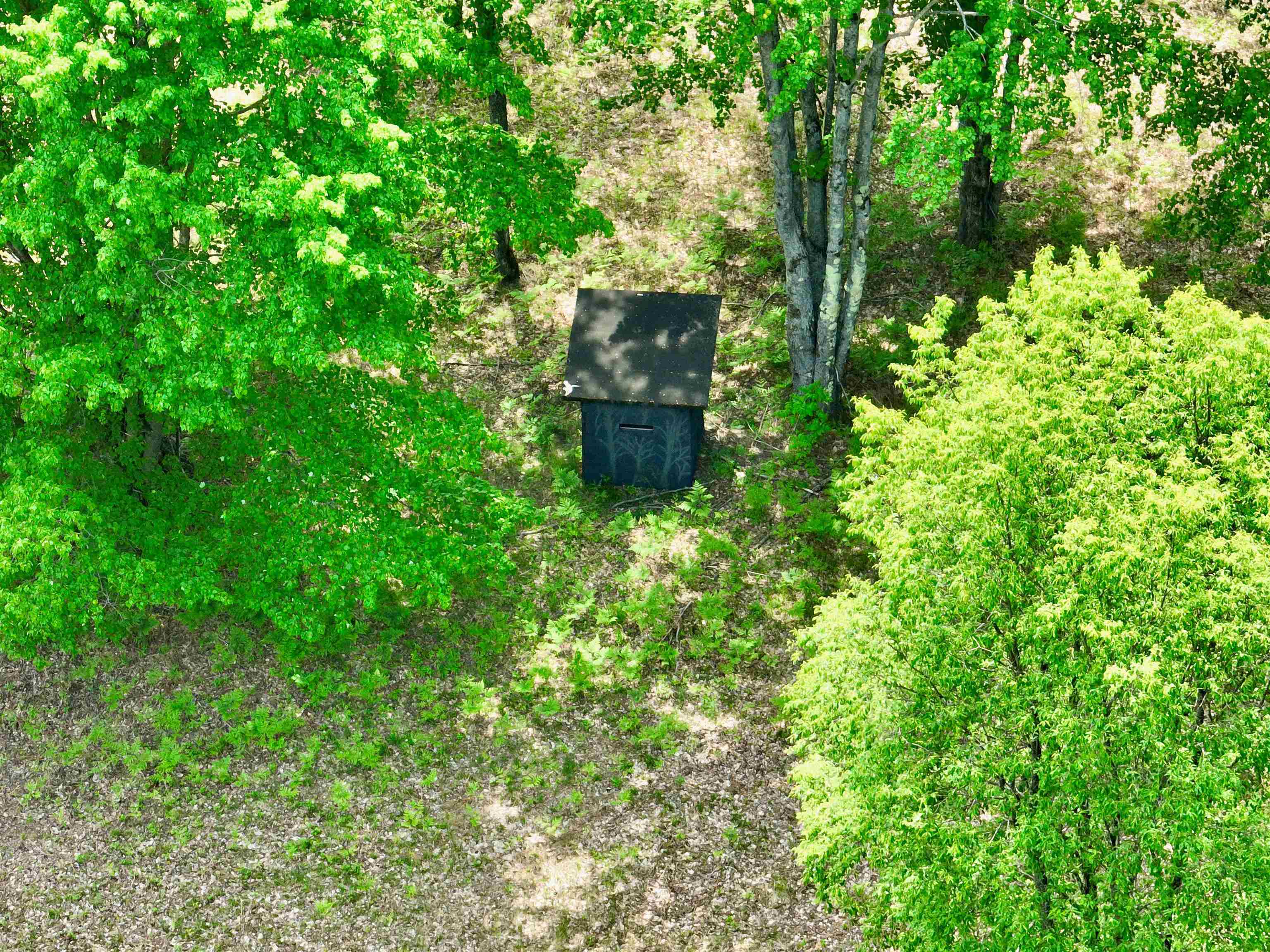 3302 West 14 Road Mesick, MI 49668 - Photo 9 of 15
