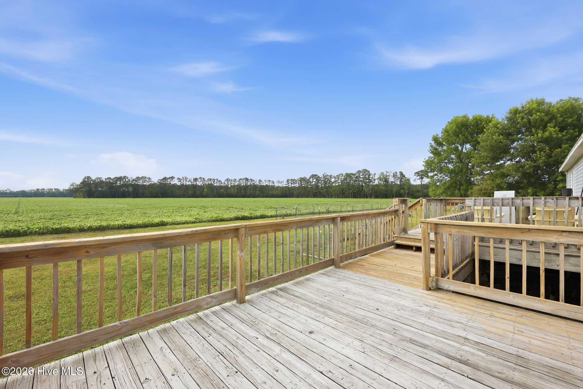 252 Heath Swamp Road Cove City, NC 28523 - Photo 43 of 55