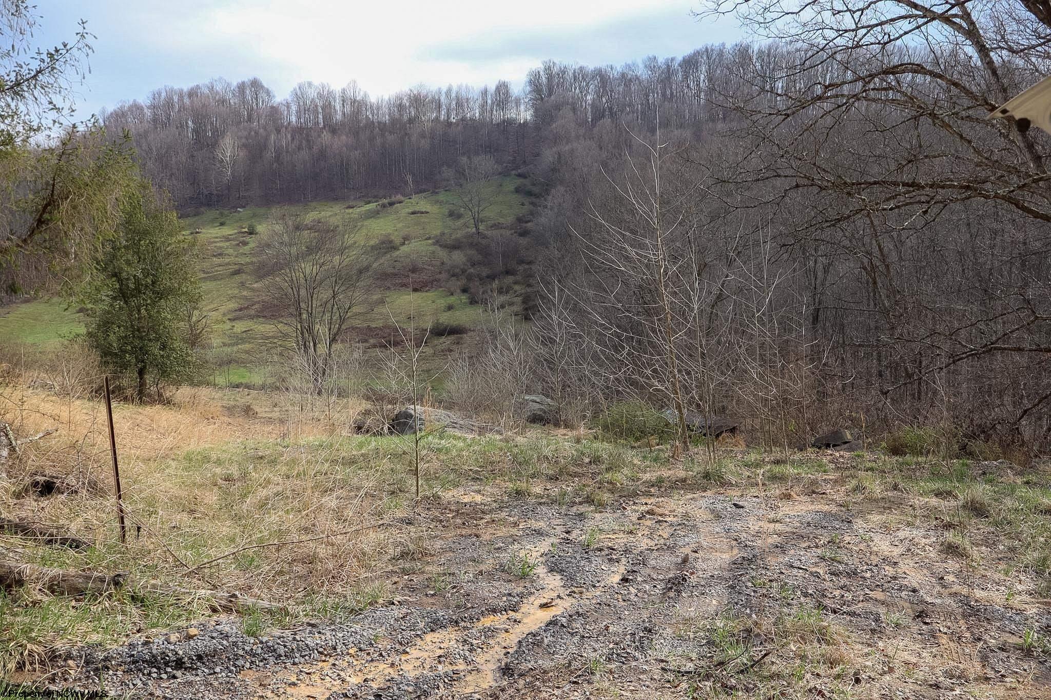 Tbd Mudlick Run Road Fairmont, WV 26554 - Photo 17 of 20 Gallery Image 17