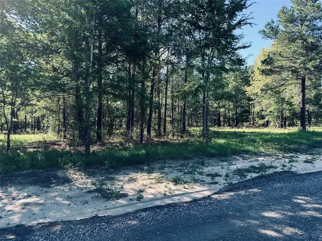 a view of a yard with plants and trees