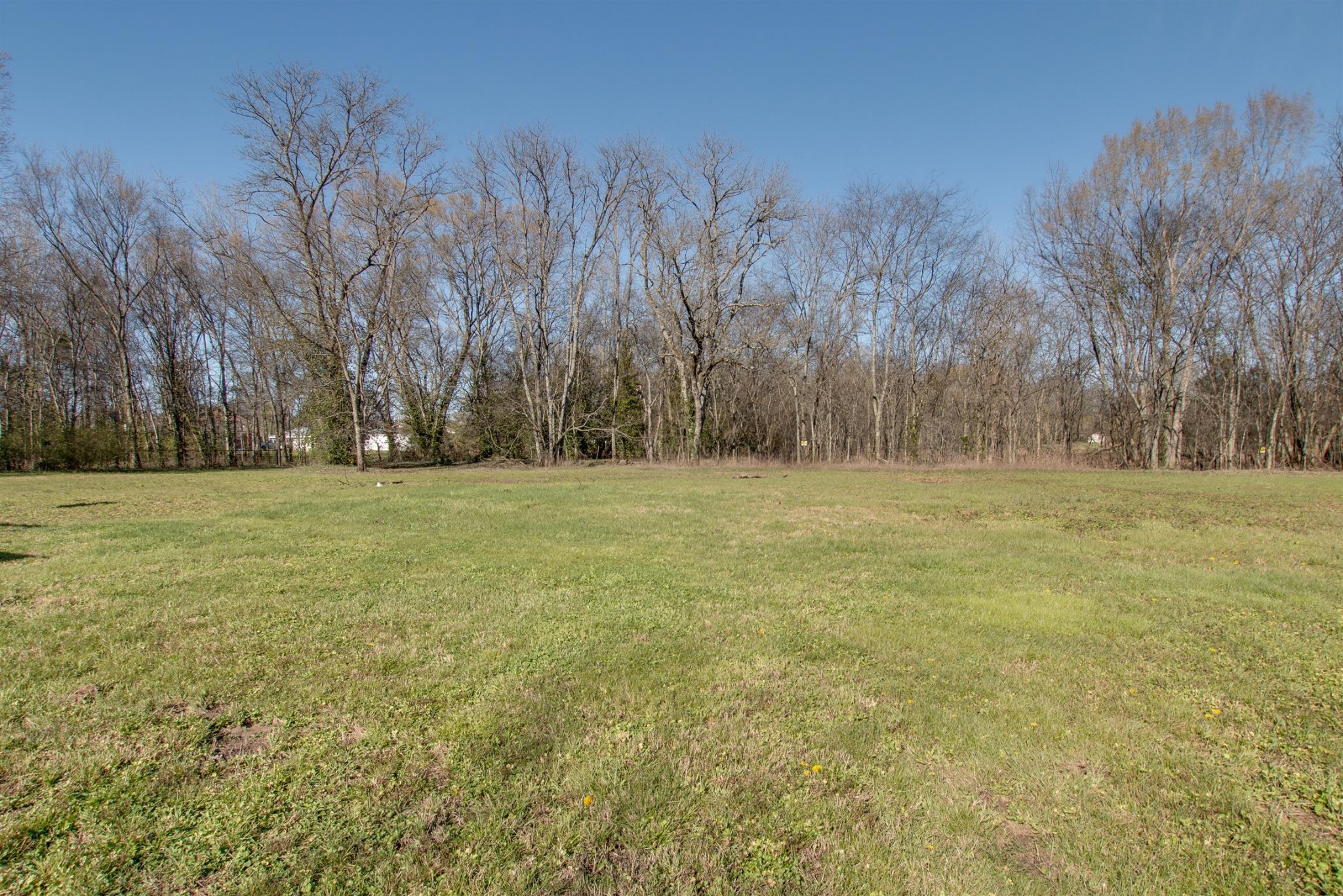 812 Lillard Road Murfreesboro, TN 37130 - Photo 5 of 5 Gallery Image 5