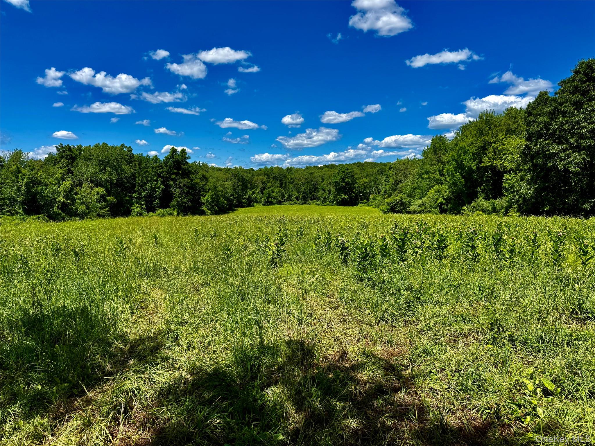 513 Rossway Road Pleasant Valley, NY 12569 - Photo 12 of 17 Field Number 4#