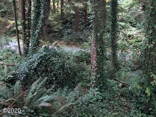 Lot 101 Ridge Crest Gleneden Beach, OR 97388 - Photo 2 of 5 CCTT