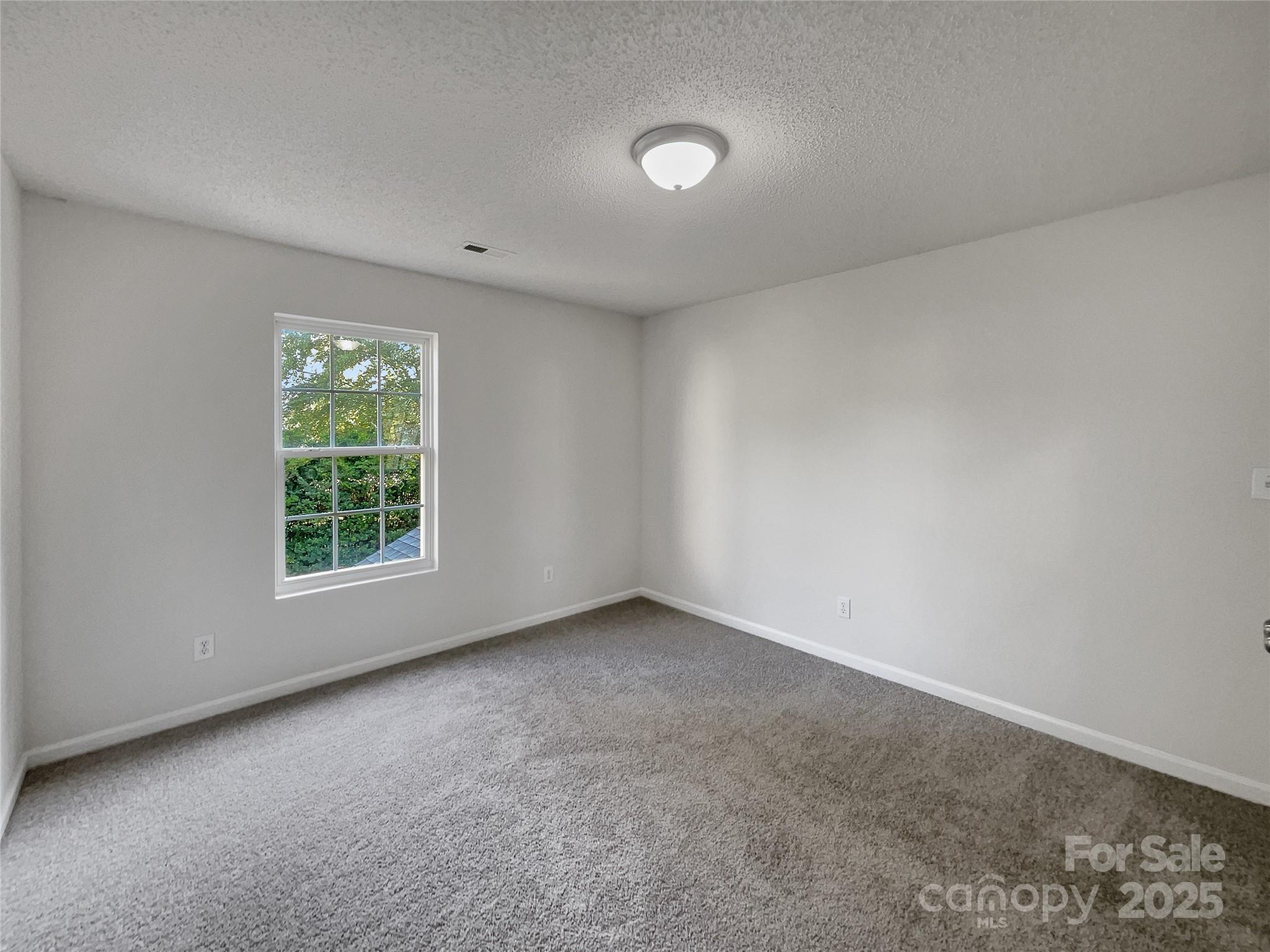 3915 Cameron Run Lane Matthews, NC 28105 - Photo 13 of 22