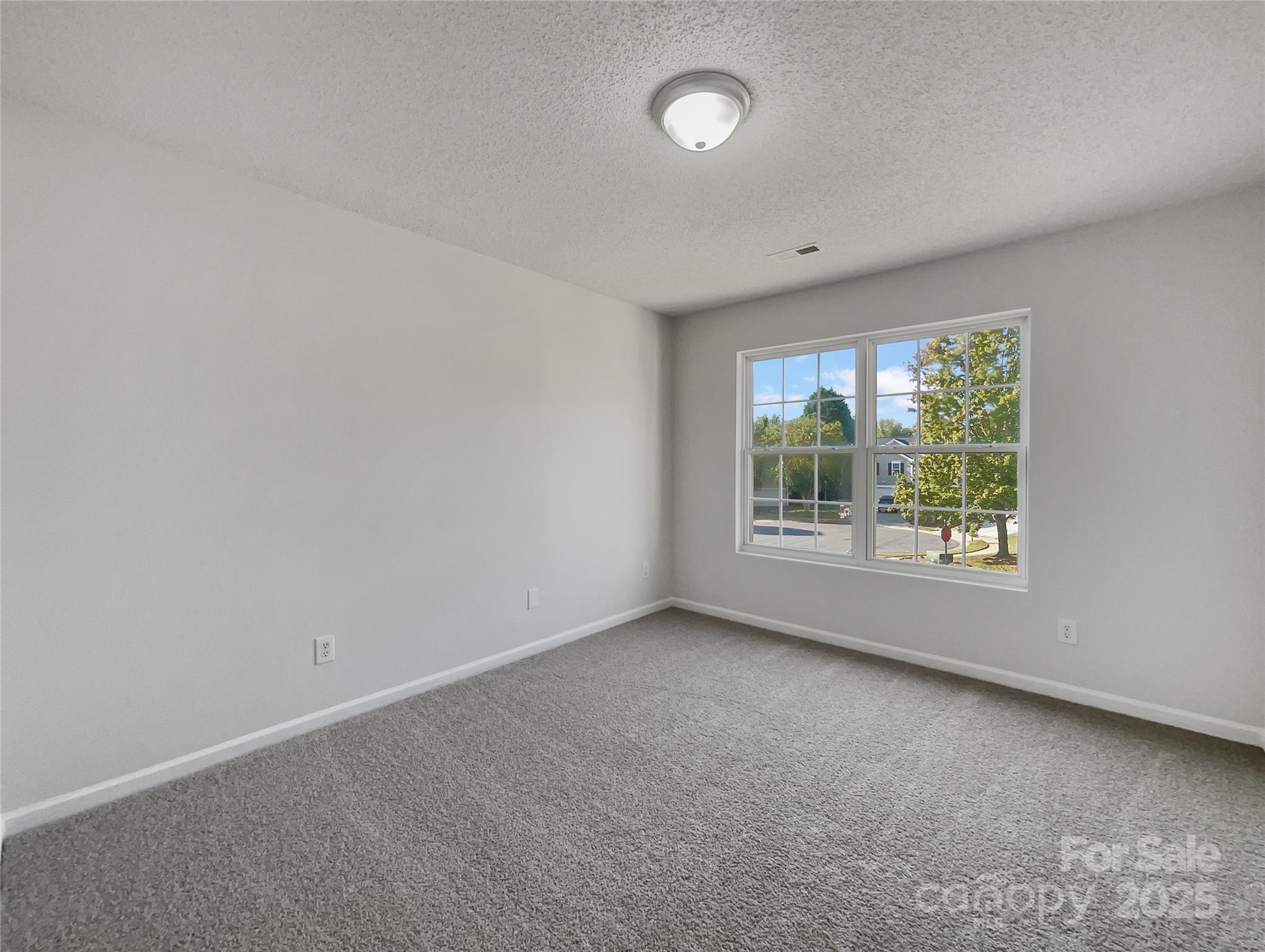 3915 Cameron Run Lane Matthews, NC 28105 - Photo 14 of 22