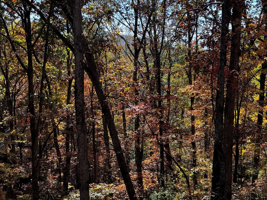 54 Martin Crossing Cherry Log, GA 30522 - Photo 2 of 43 Custom Rock Work