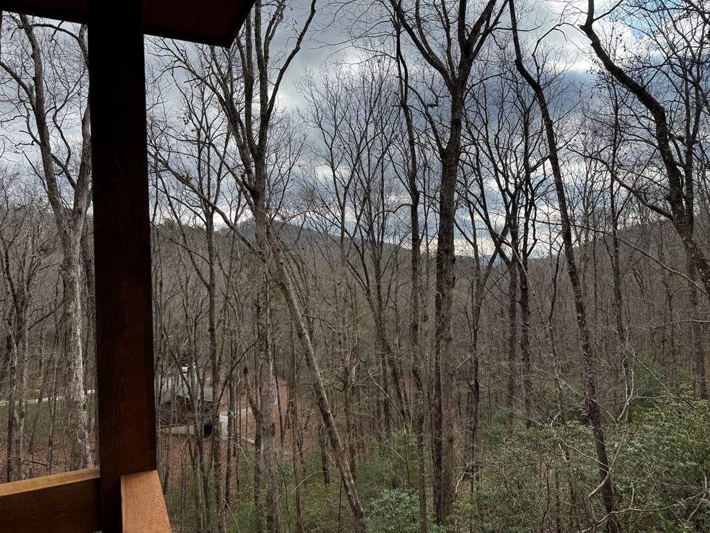 54 Martin Crossing Cherry Log, GA 30522 - Photo 23 of 43