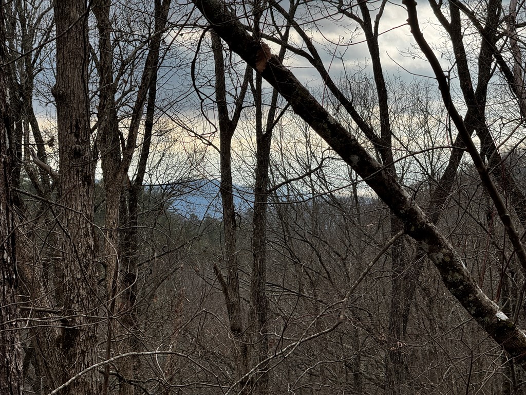 54 Martin Crossing Cherry Log, GA 30522 - Photo 7 of 43