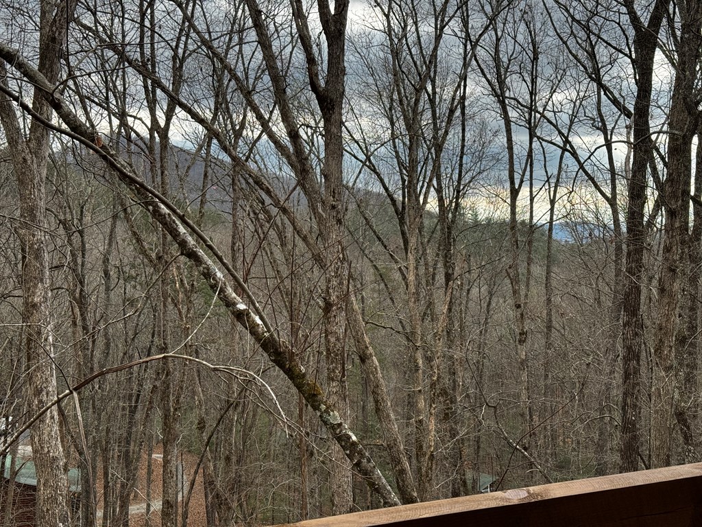 54 Martin Crossing Cherry Log, GA 30522 - Photo 9 of 43