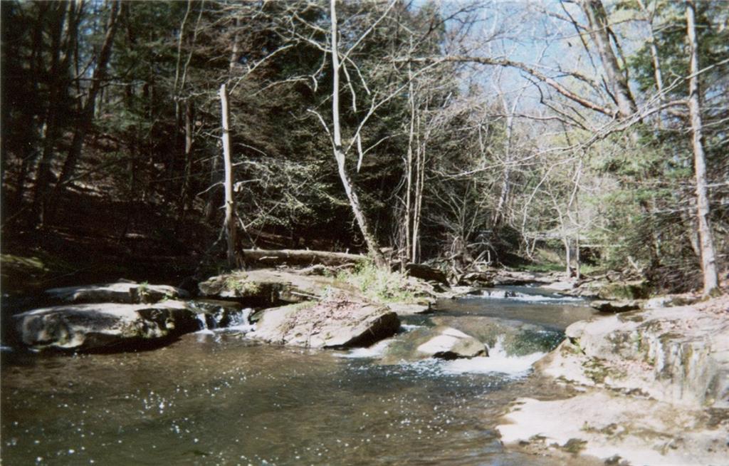 789 Cleland Mill Road New Castle, PA 16102 - Photo 8 of 25