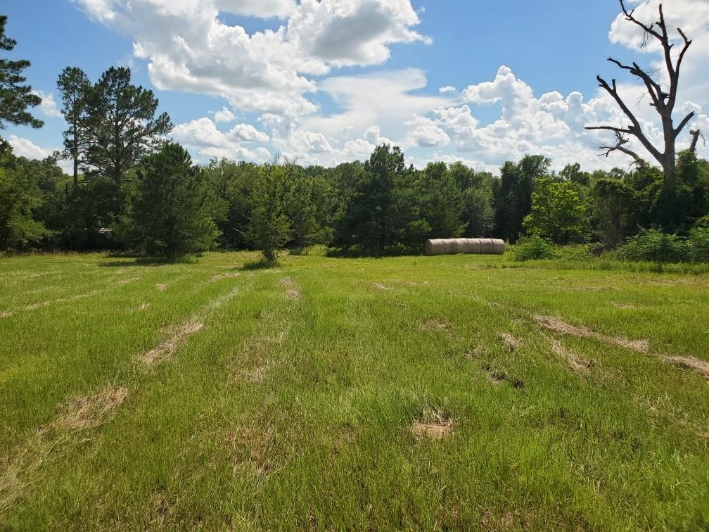 Lot 2 Rains Cr1140 Road Emory, TX 75440 - Photo 6 of 10 a view of field with trees in the background