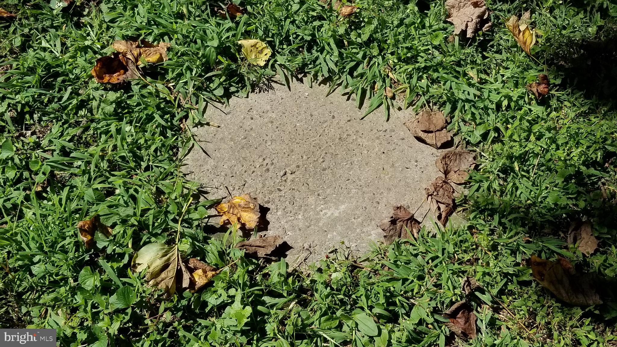 1112 Indian Marker Road Conestoga, PA 17516 - Photo 42 of 48 Septic Tank Cover
