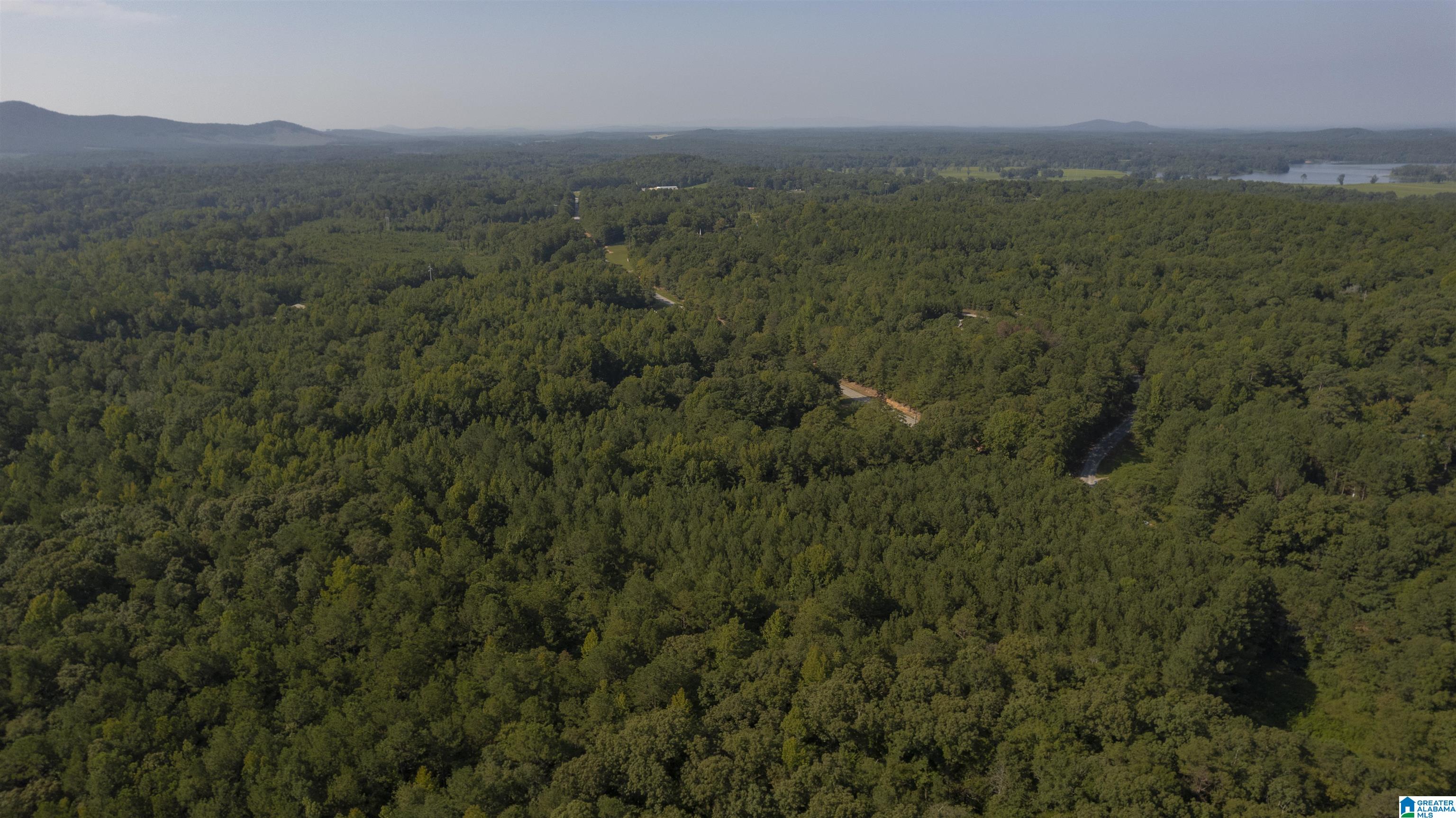 810 Stemley Road Talladega, AL 35160 - Photo 45 of 47