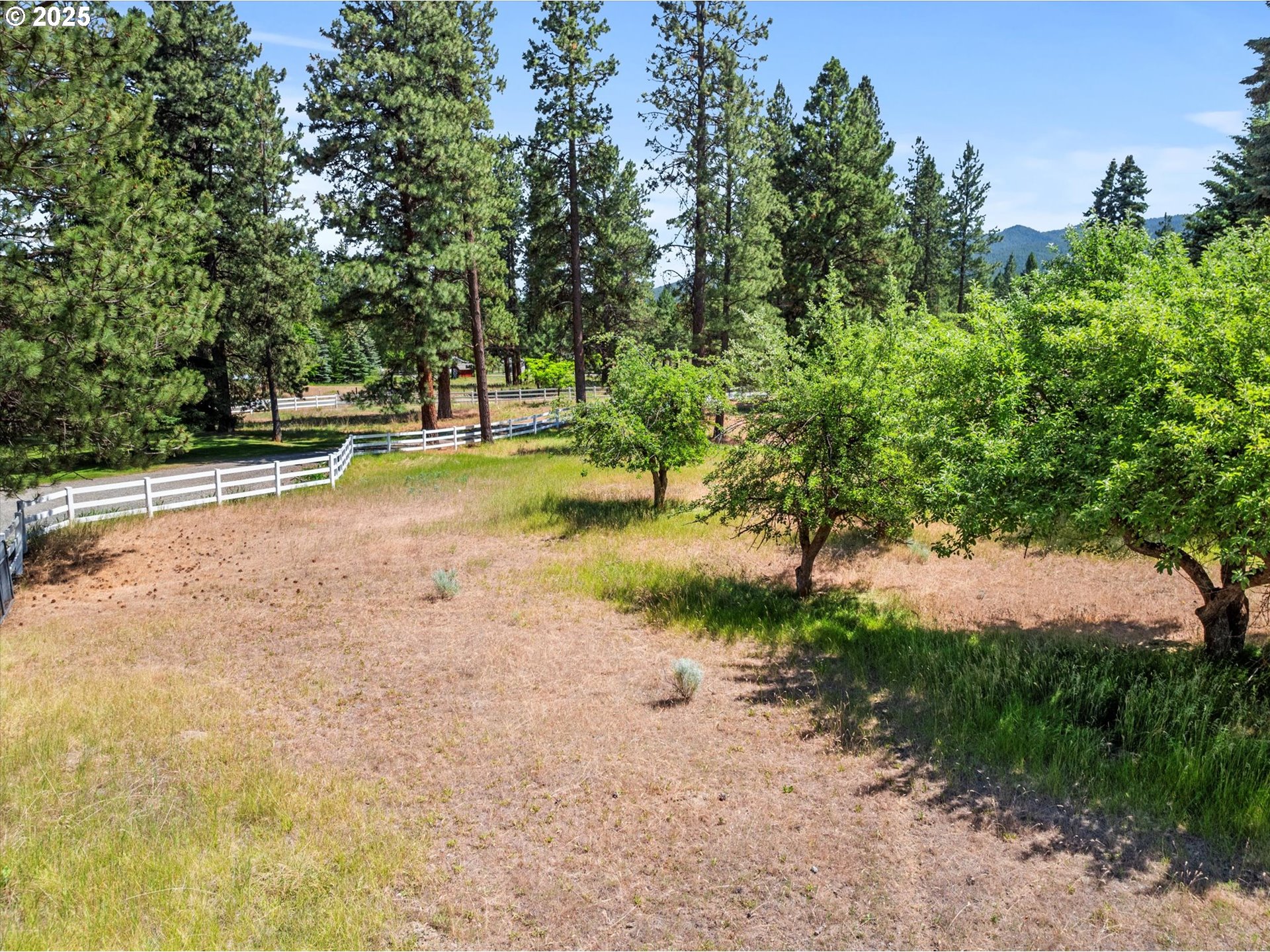14955 Profitt Loop Baker City, OR 97814 - Photo 9 of 47 Gallery Image 9