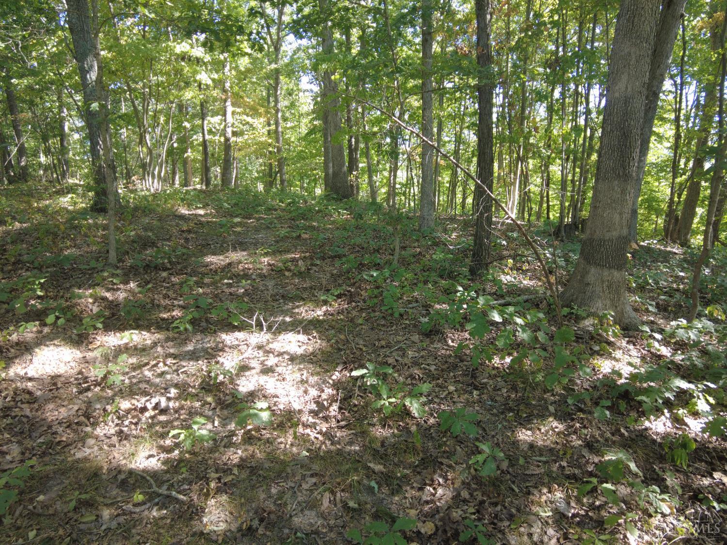 16 Black Hollow Road Peebles, OH 45660 - Photo 28 of 39