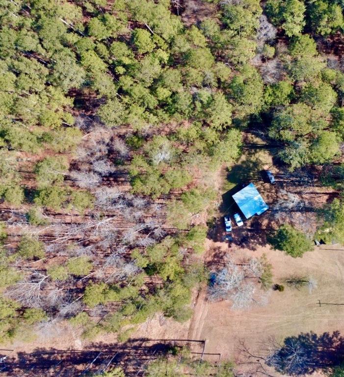 205 Nichols Road Southeast Rome, GA 30161 - Photo 6 of 15