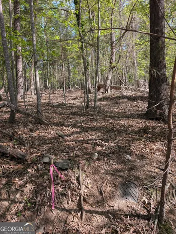 $159,900 | 0 Hayes Drive, Unit 1, Gainesville, GA 30506