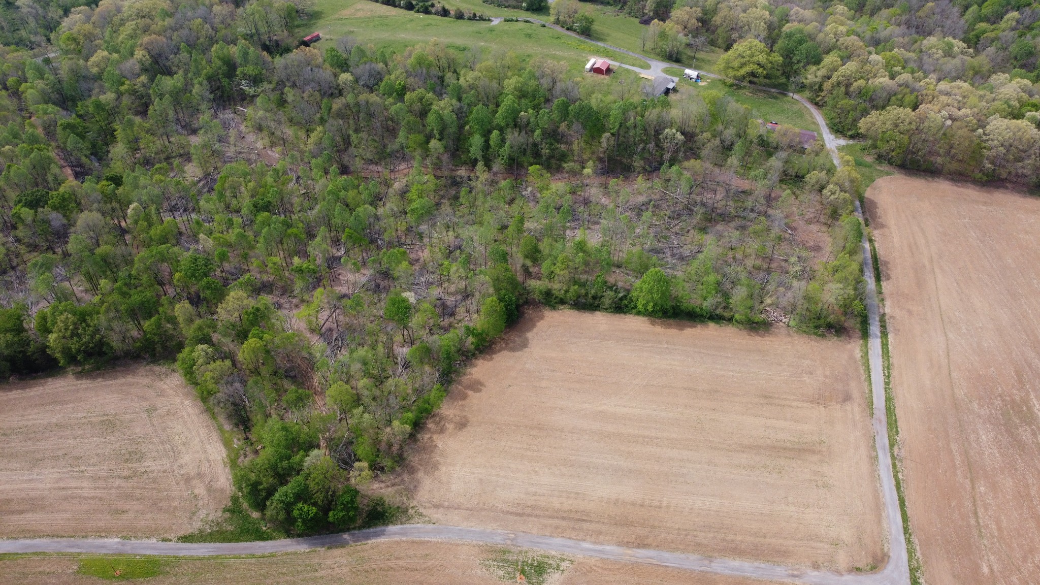 0 Trammel Creek Road Westmoreland, TN 37186 - Photo 2 of 6 a view of a pathway both side of yard