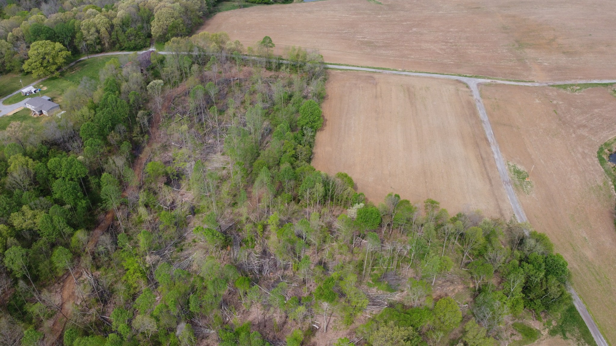 0 Trammel Creek Road Westmoreland, TN 37186 - Photo 3 of 6 a view of a yard